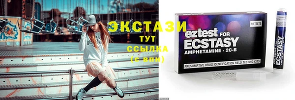 ECSTASY Богородицк